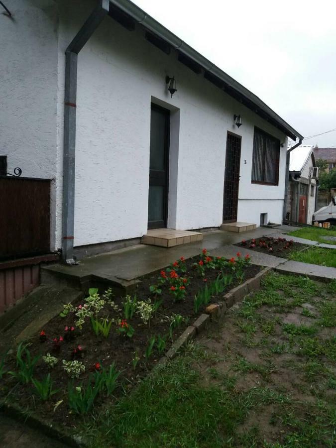 Apartman Romy Pancsova Kültér fotó